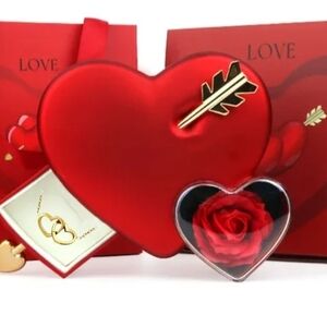 Heart & Arrow Jewelry Case – Eternal Rose & Double Heart Pendant